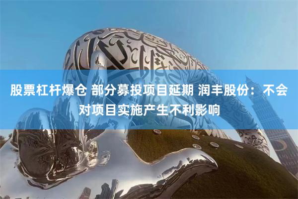 股票杠杆爆仓 部分募投项目延期 润丰股份：不会对项目实施产生不利影响