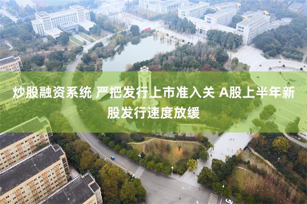 炒股融资系统 严把发行上市准入关 A股上半年新股发行速度放缓