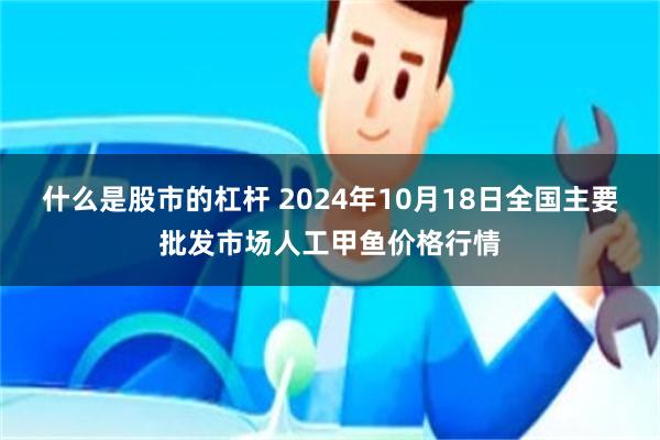 什么是股市的杠杆 2024年10月18日全国主要批发市场人工甲鱼价格行情