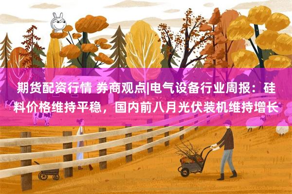 期货配资行情 券商观点|电气设备行业周报：硅料价格维持平稳，国内前八月光伏装机维持增长