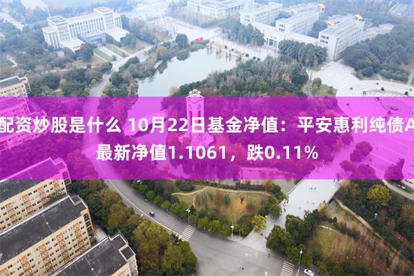 配资炒股是什么 10月22日基金净值：平安惠利纯债A最新净值1.1061，跌0.11%