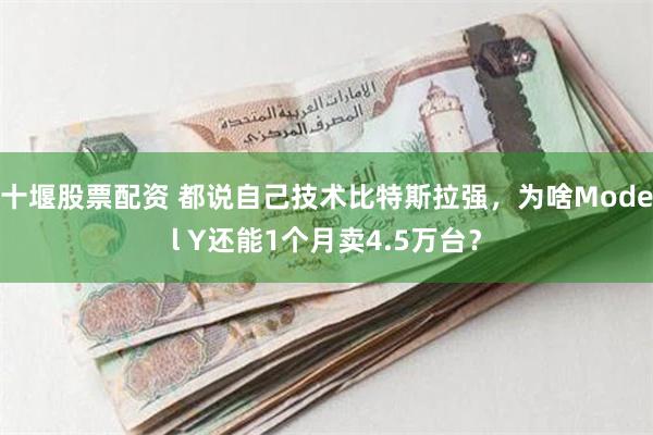 十堰股票配资 都说自己技术比特斯拉强，为啥Model Y还能1个月卖4.5万台？