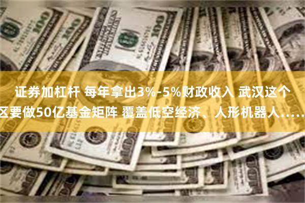 证券加杠杆 每年拿出3%-5%财政收入 武汉这个区要做50亿基金矩阵 覆盖低空经济、人形机器人……