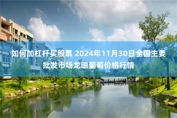 如何加杠杆买股票 2024年11月30日全国主要批发市场龙眼葡萄价格行情