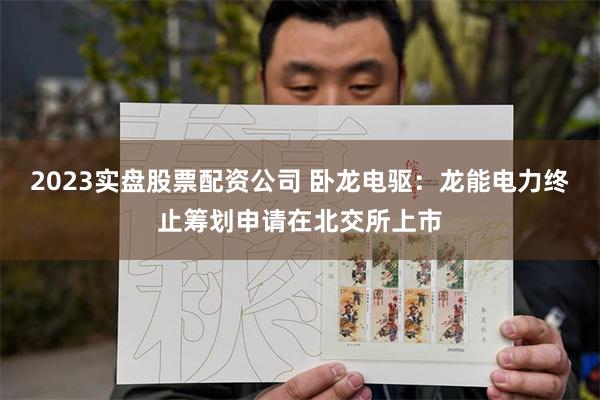 2023实盘股票配资公司 卧龙电驱：龙能电力终止筹划申请在北交所上市