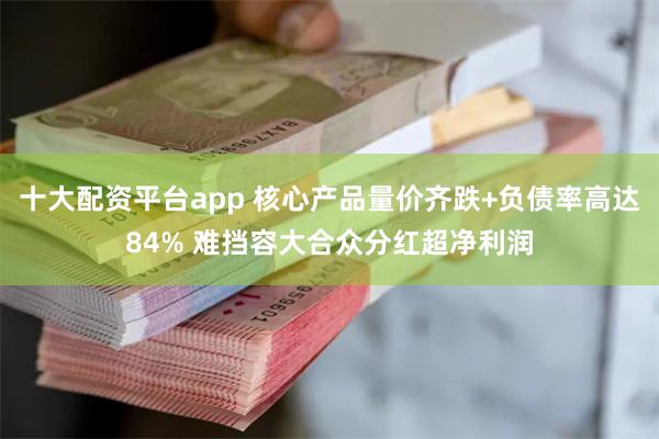 十大配资平台app 核心产品量价齐跌+负债率高达84% 难挡容大合众分红超净利润