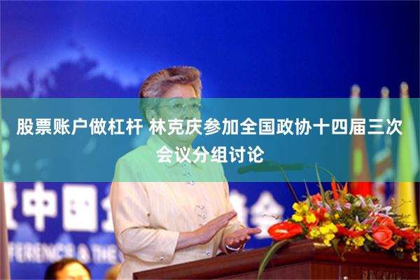 股票账户做杠杆 林克庆参加全国政协十四届三次会议分组讨论