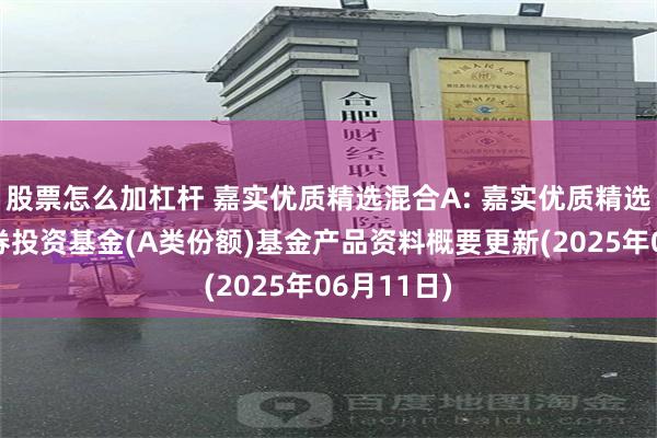 股票怎么加杠杆 嘉实优质精选混合A: 嘉实优质精选混合型证券投资基金(A类份额)基金产品资料概要更新(2025年06月11日)