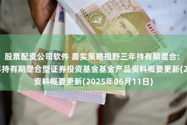 股票配资公司软件 嘉实策略视野三年持有期混合: 嘉实策略视野三年持有期混合型证券投资基金基金产品资料概要更新(2025年06月11日)