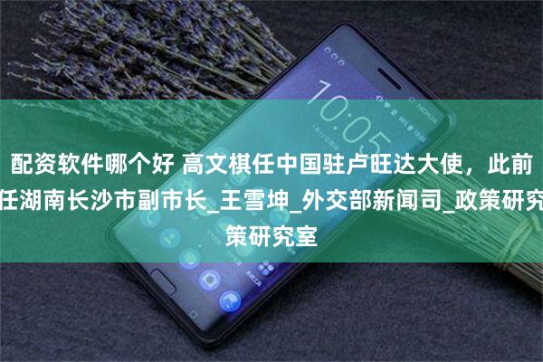 配资软件哪个好 高文棋任中国驻卢旺达大使，此前挂任湖南长沙市副市长_王雪坤_外交部新闻司_政策研究室