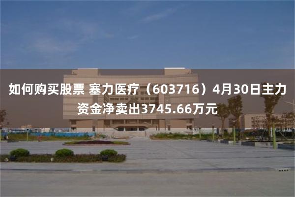 如何购买股票 塞力医疗（603716）4月30日主力资金净卖出3745.66万元