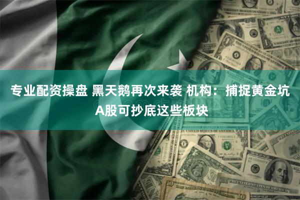 专业配资操盘 黑天鹅再次来袭 机构：捕捉黄金坑 A股可抄底这些板块